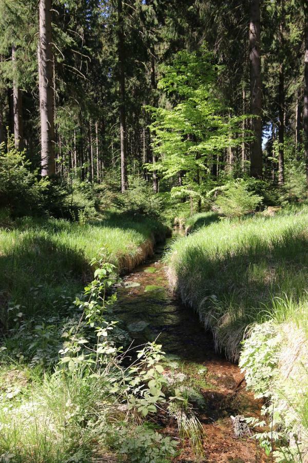 Erzgebirgsferien * Olbernhau